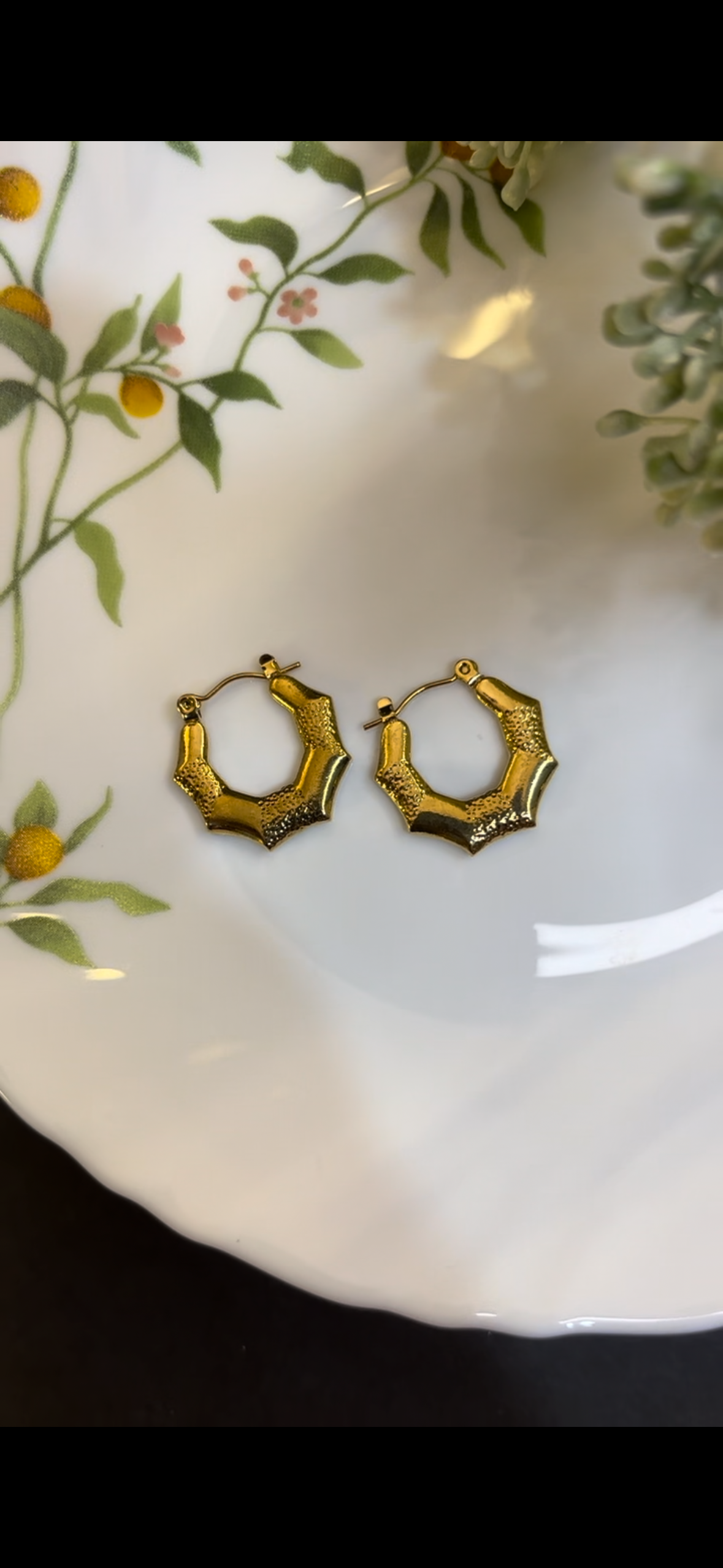 Web Hoops