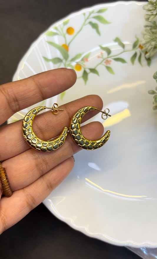 Moon Shape Earring